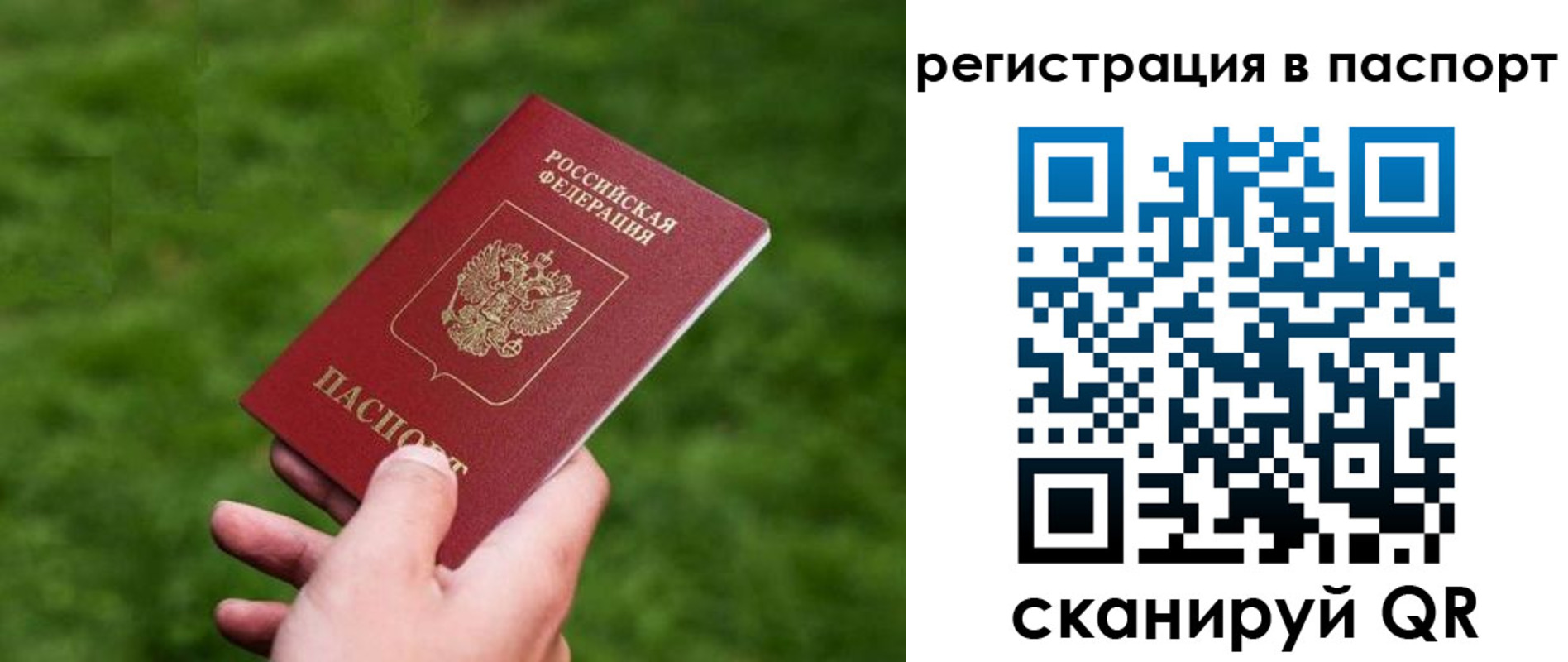пропишу в квартире в Вязьме